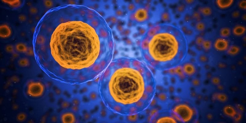 genetic-based cancer treatment for targeted mesothelioma therapy