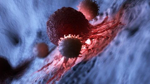 dendritic cell therapy for mesothelioma