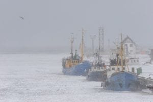 mesothelioma in seafarers
