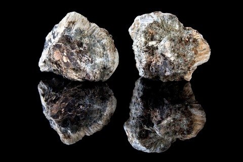 asbestos raises mesothelioma risk