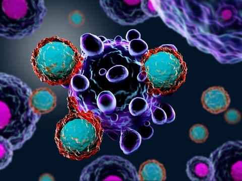 Bacteria Linked with Mesothelioma Outcomes