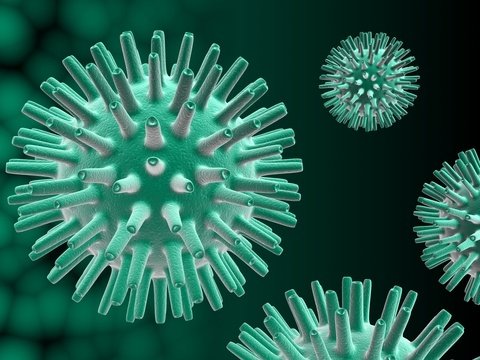 altered herpes virus