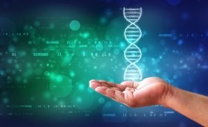 mesothelioma research